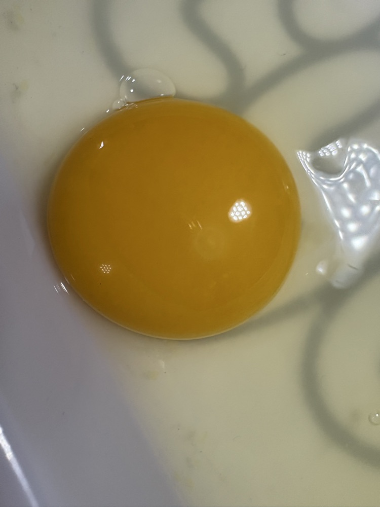 the egg yolk