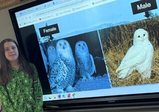 Bessette's Bird Club research photos.
