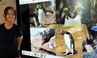 Bessette's Bird Club research photos