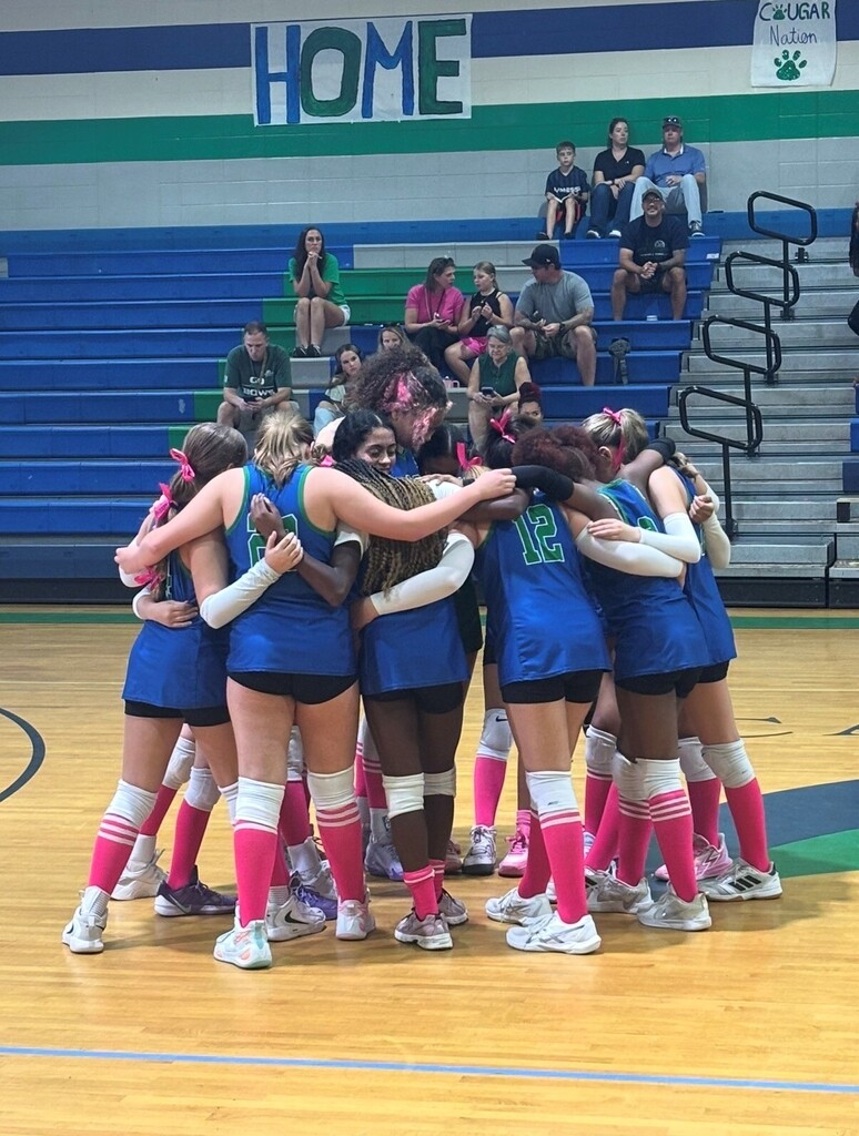 Volleyball team huddle
