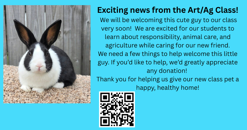 rabbit donations