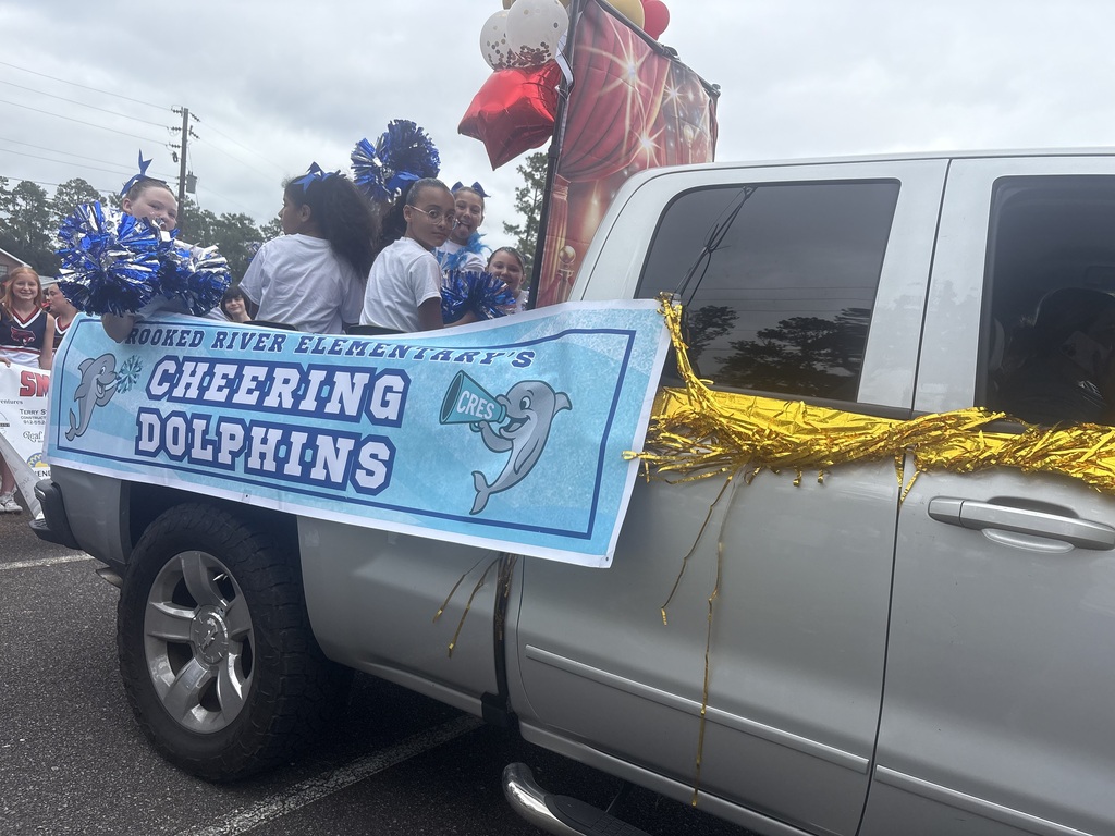 Dolphin cheer