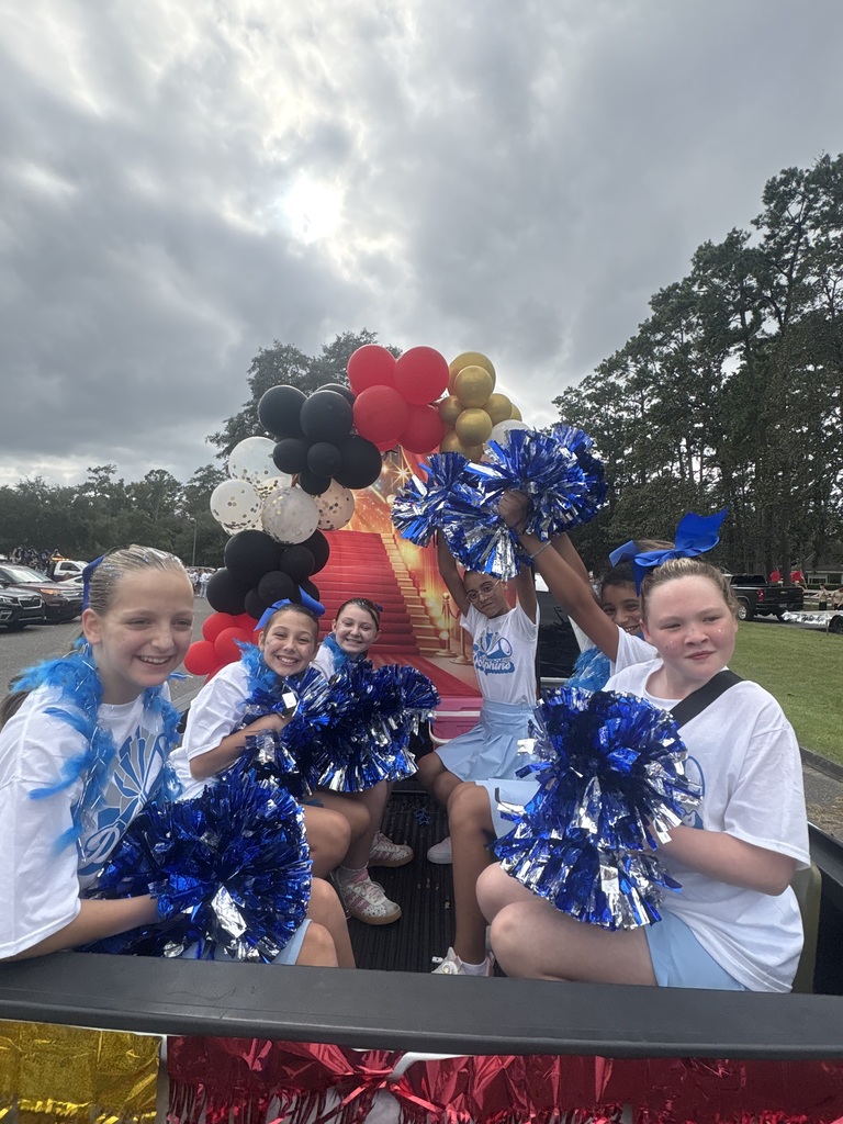 Dolphin cheer