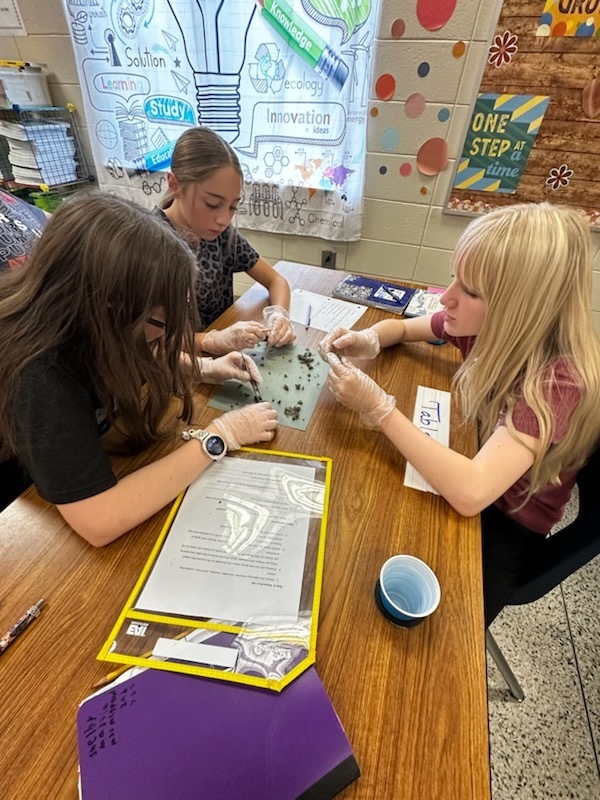 photo-Mrs. McGraw’s students carefully dissected regurgitated owl pellets