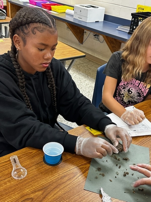 photo-Mrs. McGraw’s students carefully dissected regurgitated owl pellets