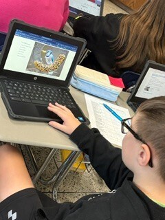 Boy working on bird club activity on his laptop.
