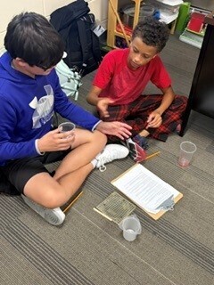 students extracting strawberry DNA