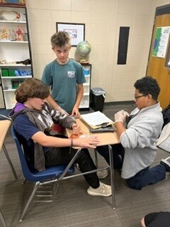 Students extracting strawberry DNA