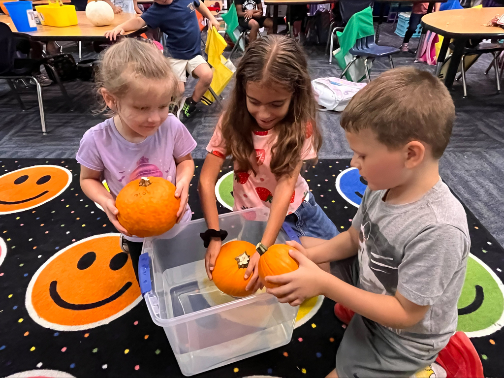 pumpkins