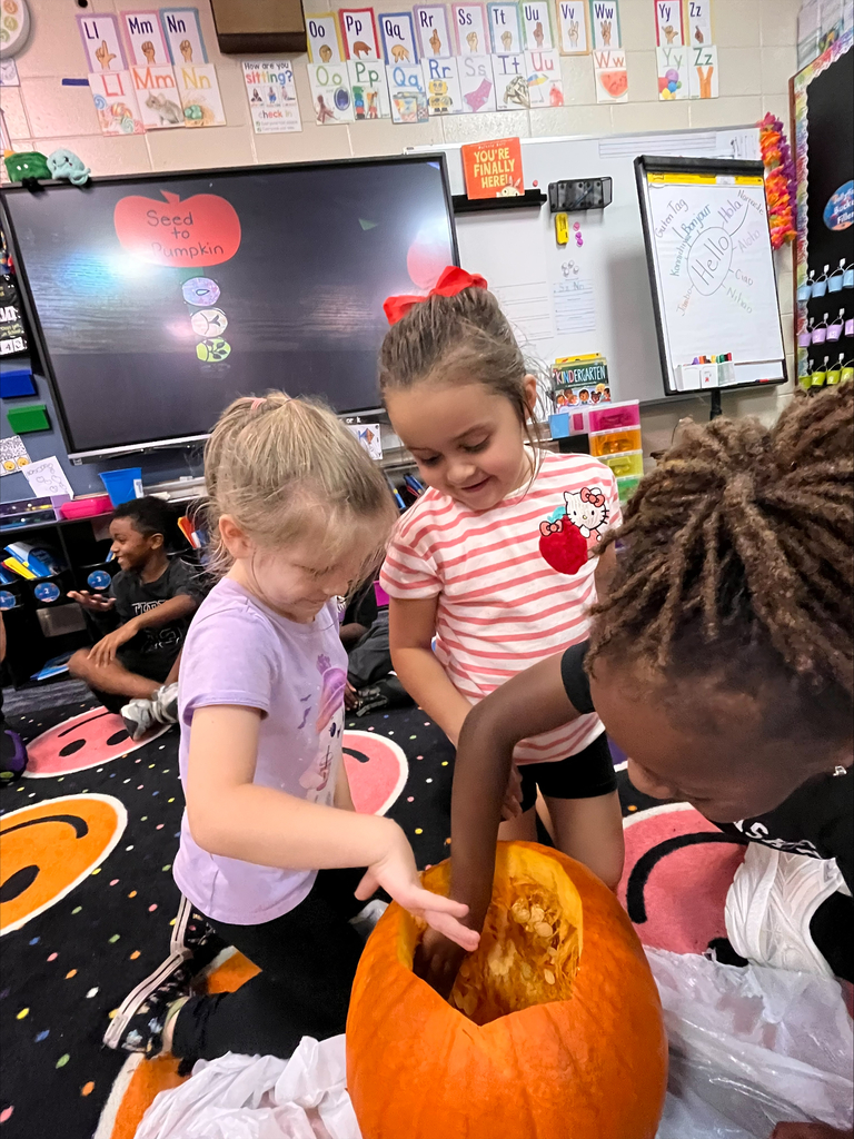 pumpkins