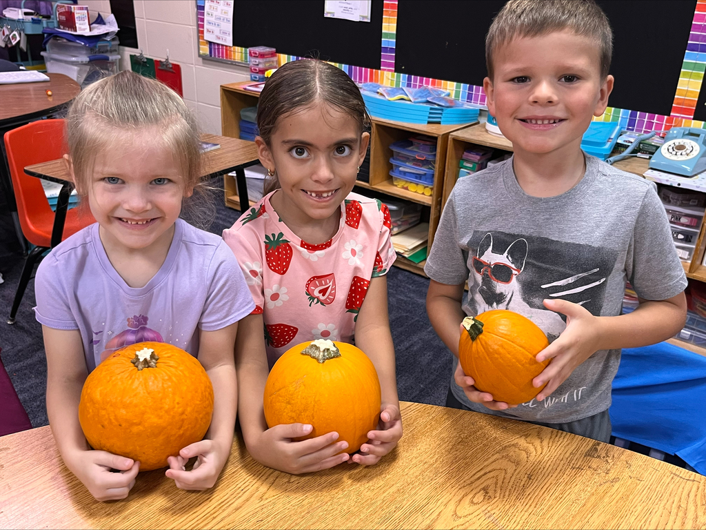 pumpkins