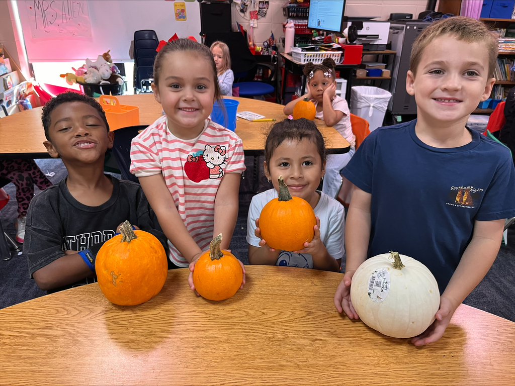 pumpkins