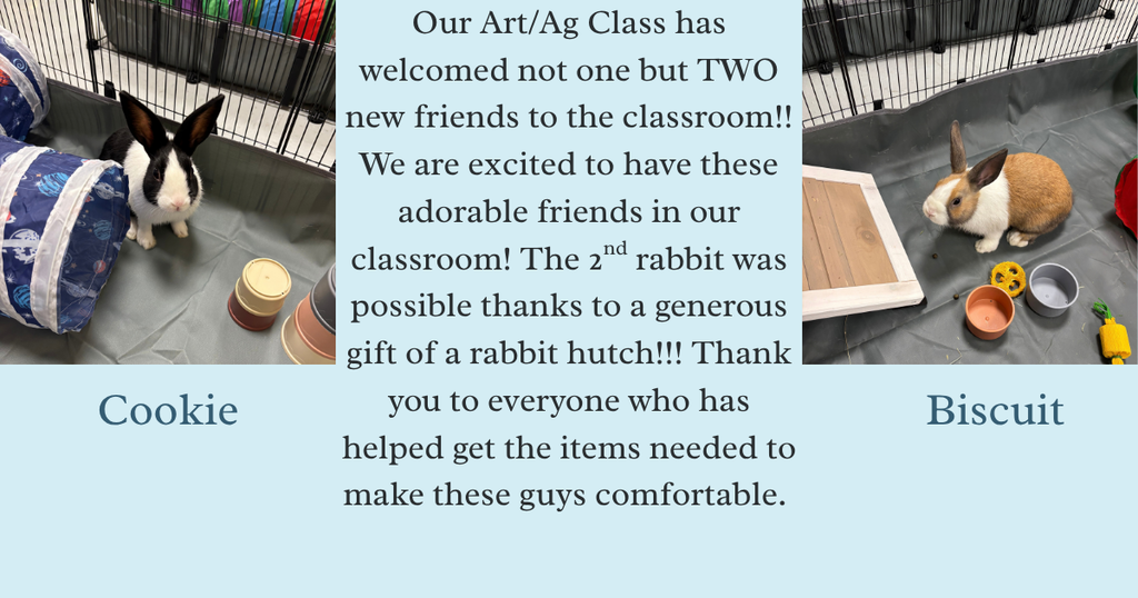 rabbit donations