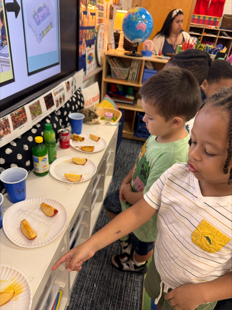 Student drawing their observations of apples.