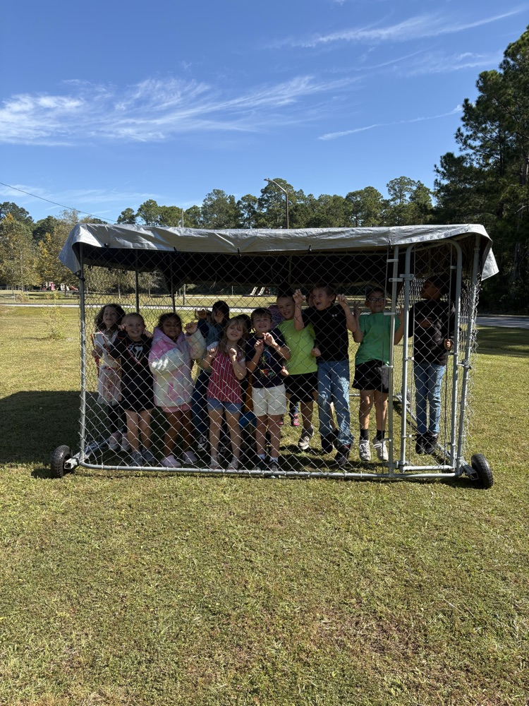 students trying out the new chicken home