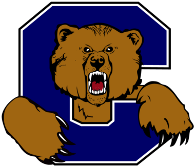 CIS Logo