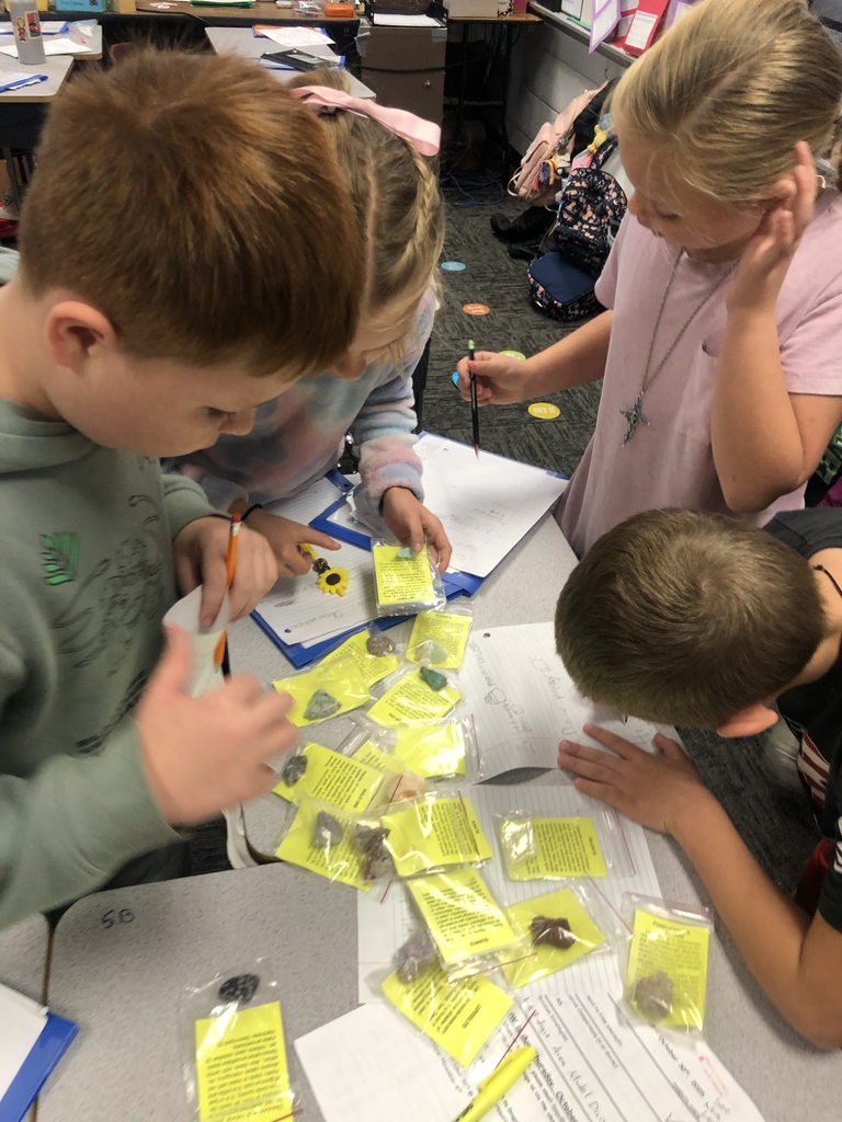 4th grade Rock Study