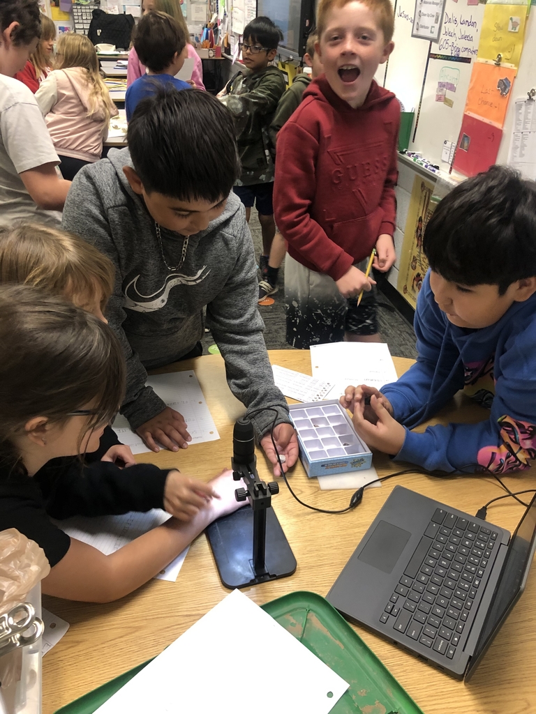 4th grade Rock Study