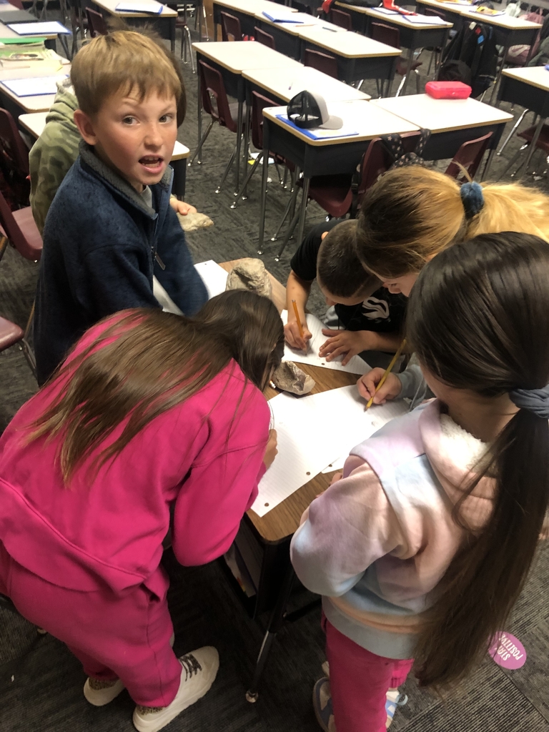 4th grade Rock Study