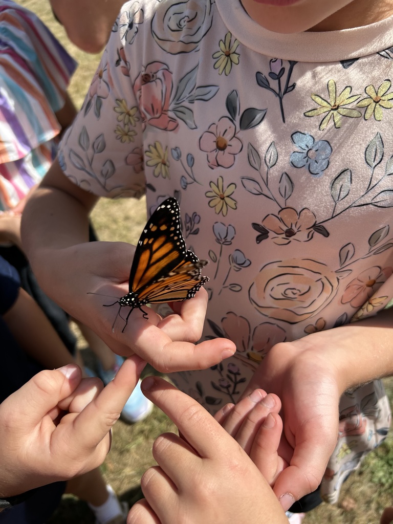 Student holding butterfuly on hand