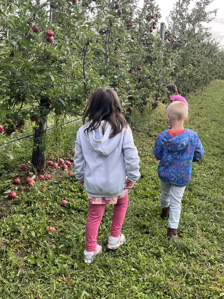 Three students walking in apple orchard