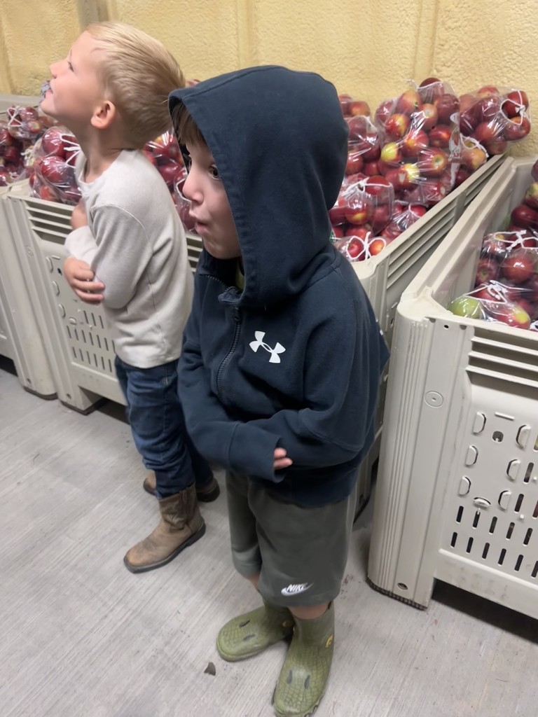 Apples and Moore  picture two students around crates of apples