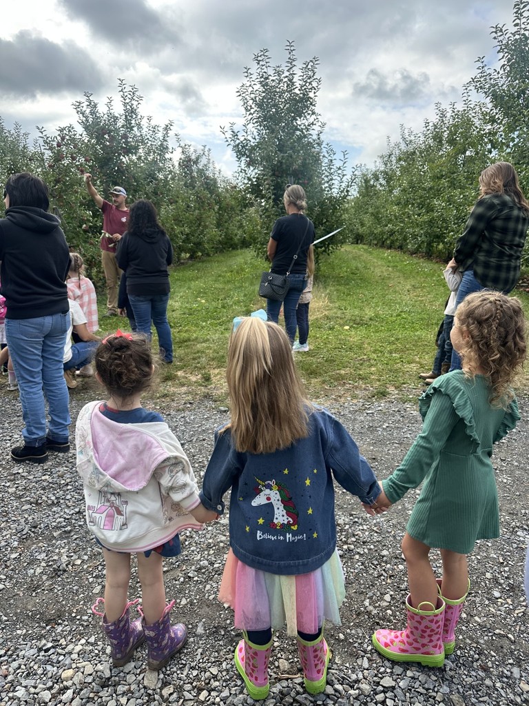 Students holding hands while watching presenter at apple orchard