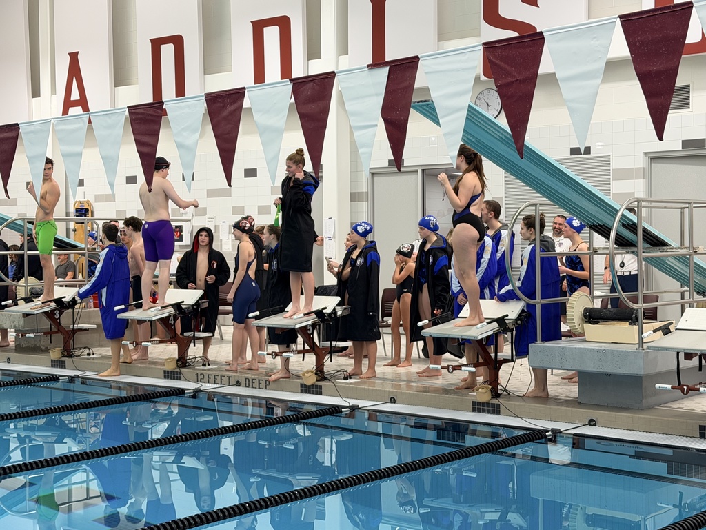 swimmers standing on blocks getting ready to swim