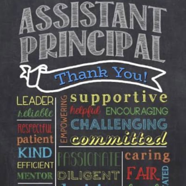 assistant principal