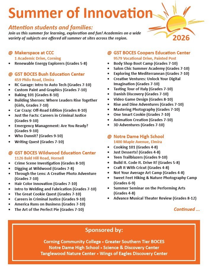 Summer of Innovation Flier