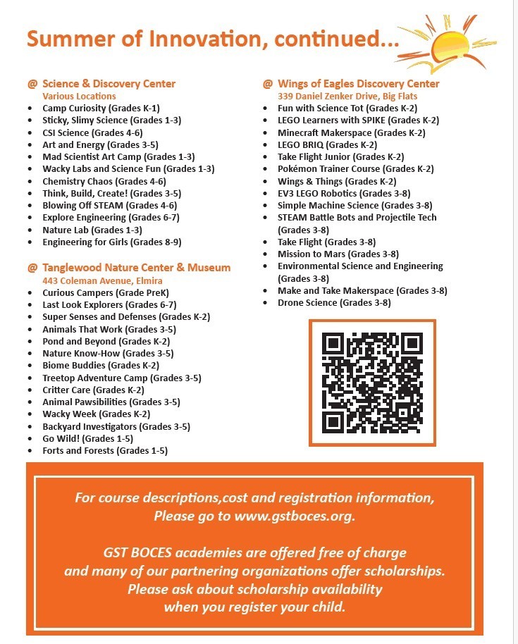 Summer of Innovation Flier