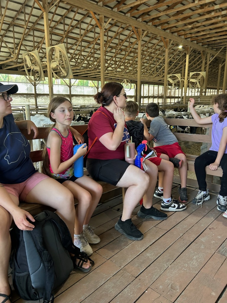 Teacher and students sittining on bench around cows