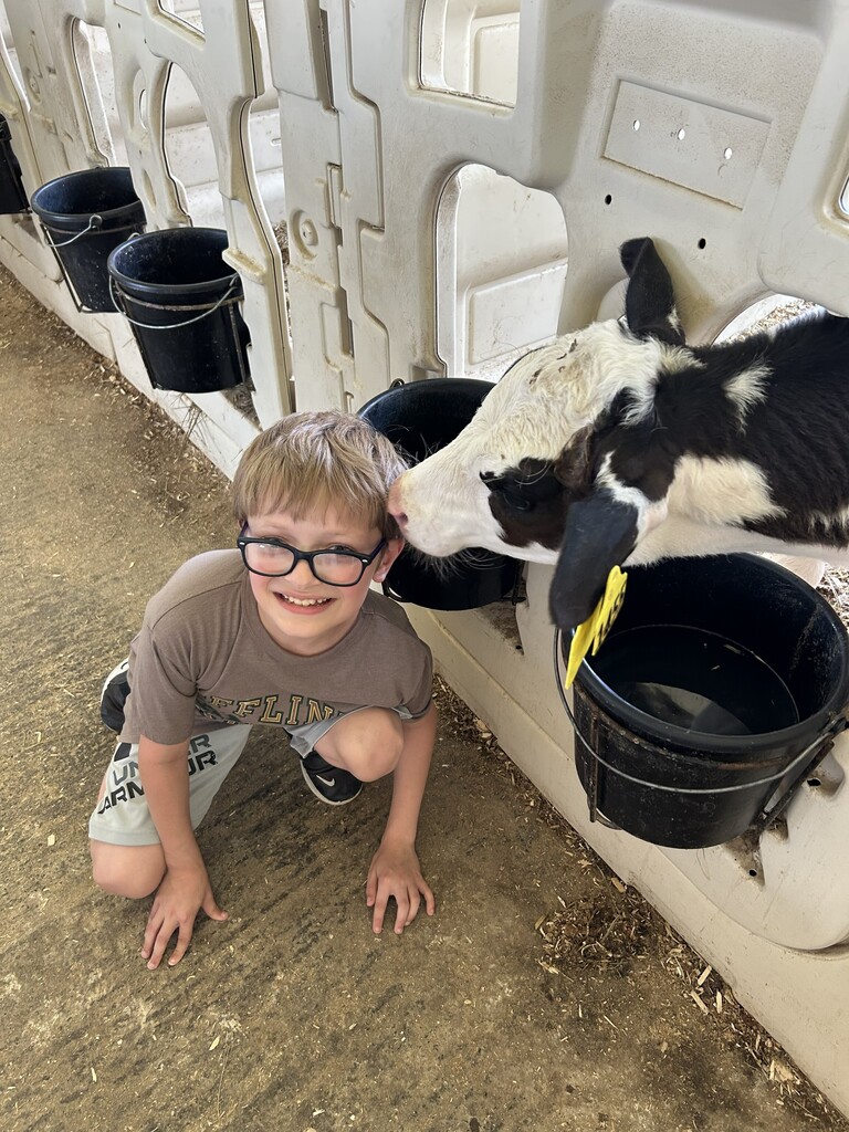 Student kneeling posing next to a cow
