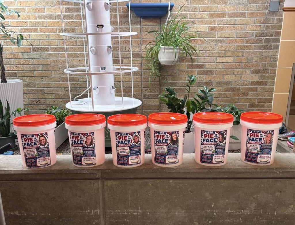 Picture of Pie in the face buckets