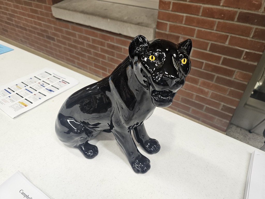 Toy Black Panther