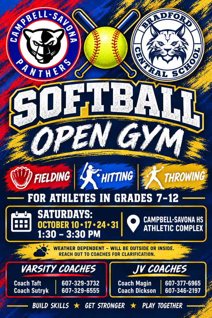 Softball Open Gym Advertisement