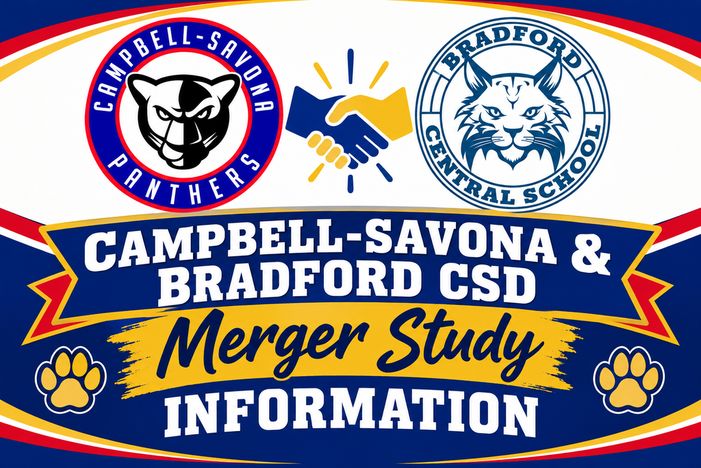 Merger study infographic