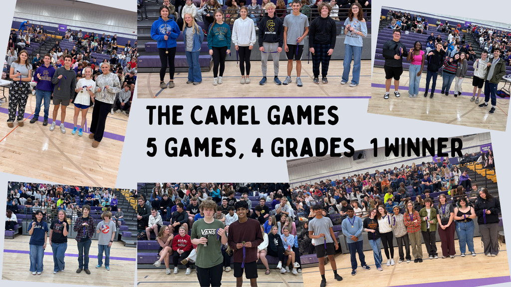 camel games