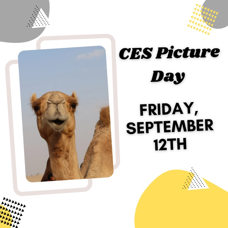 CES
