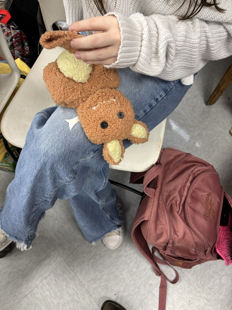 Macie Mason sewing together her cat.