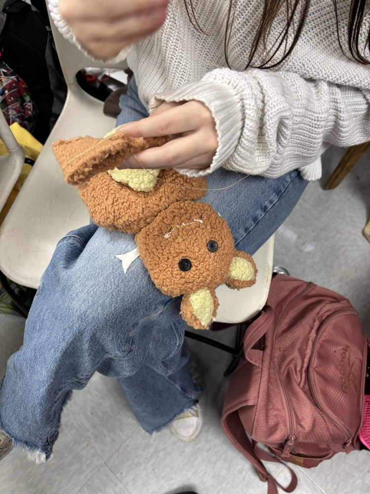 Macie’s cat again!