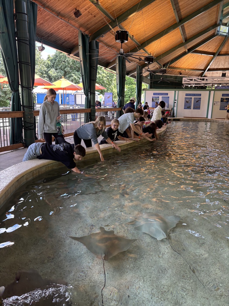 They loved this exhibit!