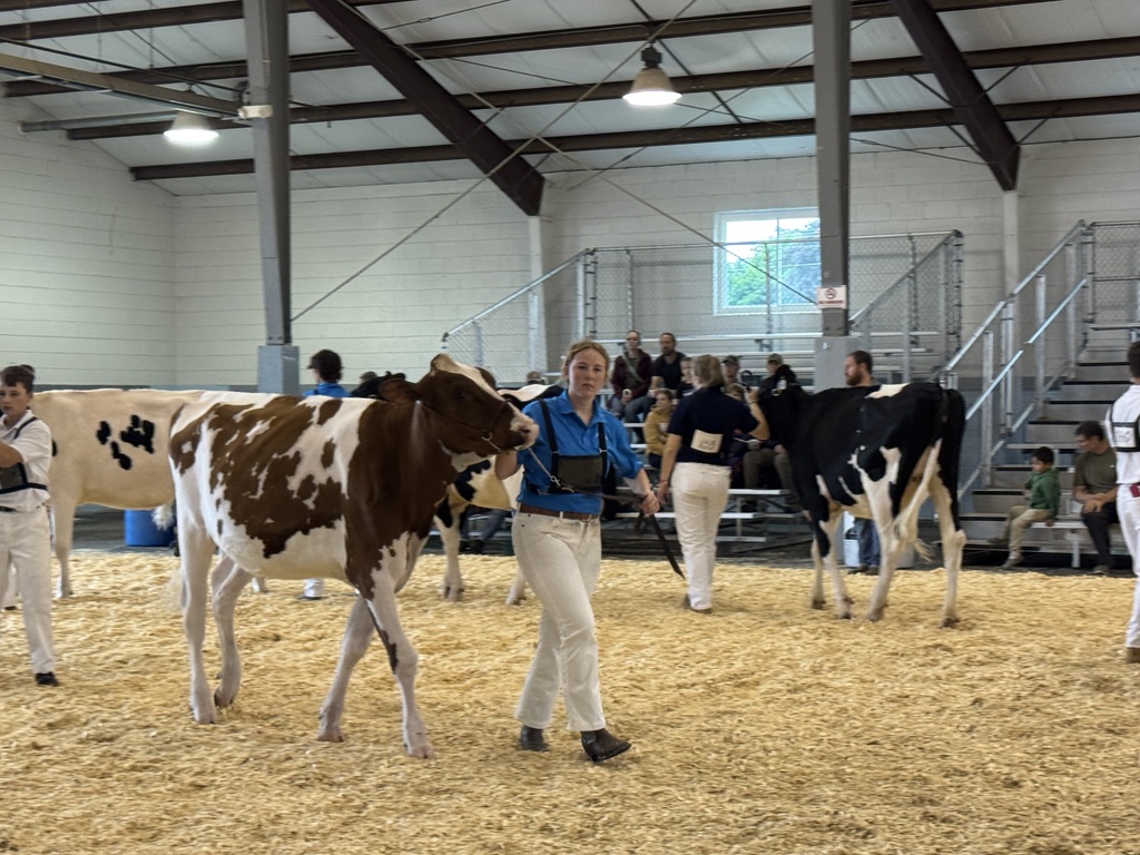 FDL FAIR