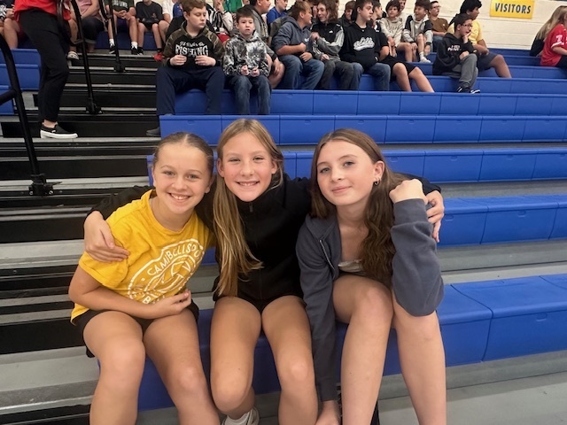 MS Assembly 