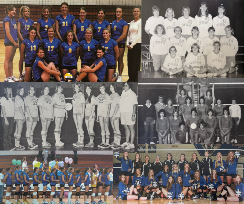 Volleyball Alumni