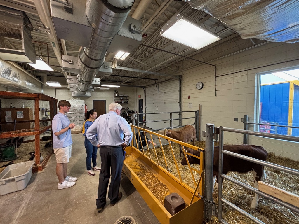 CHS seniors Izzy and Sawyer gave Congressman Grothman a tour of the MS/HS. Here they meet the Ag calves Habanero and Paprika.