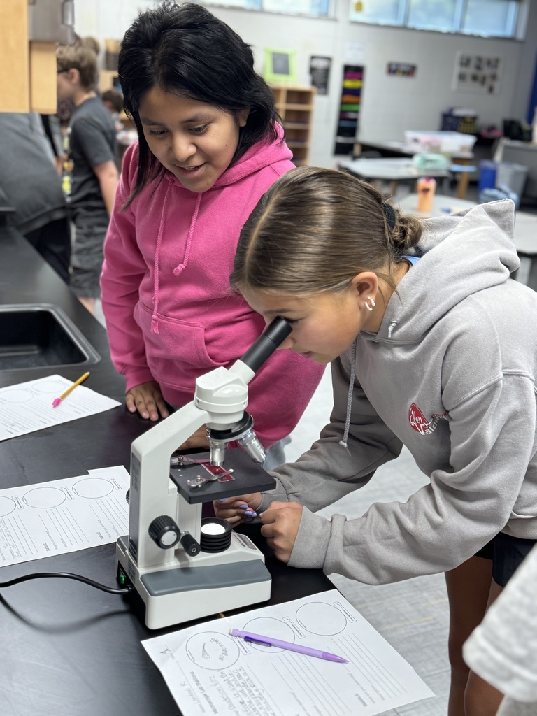 6th Grade Science