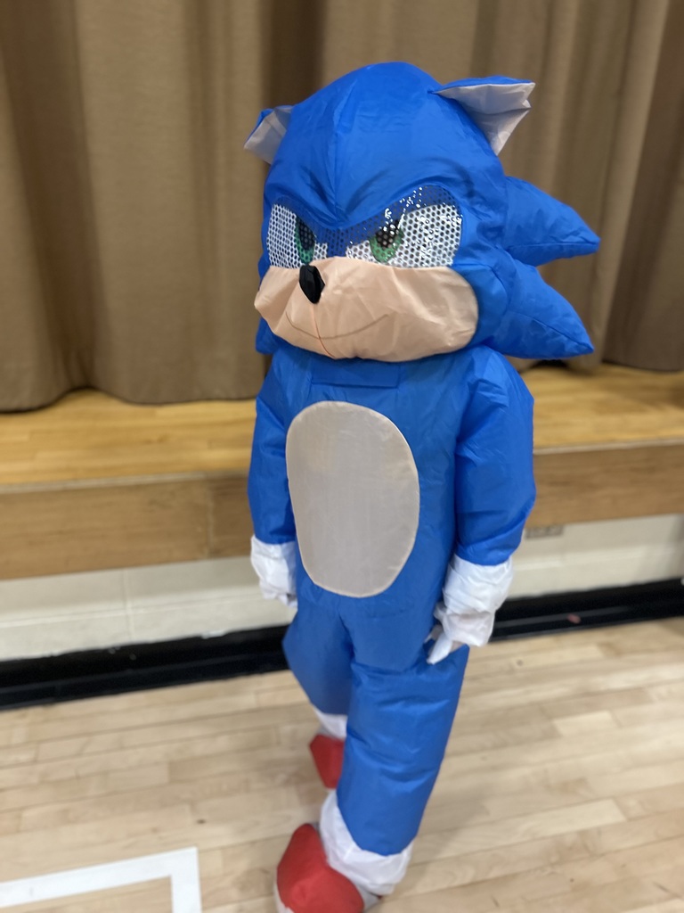 Sonic costume