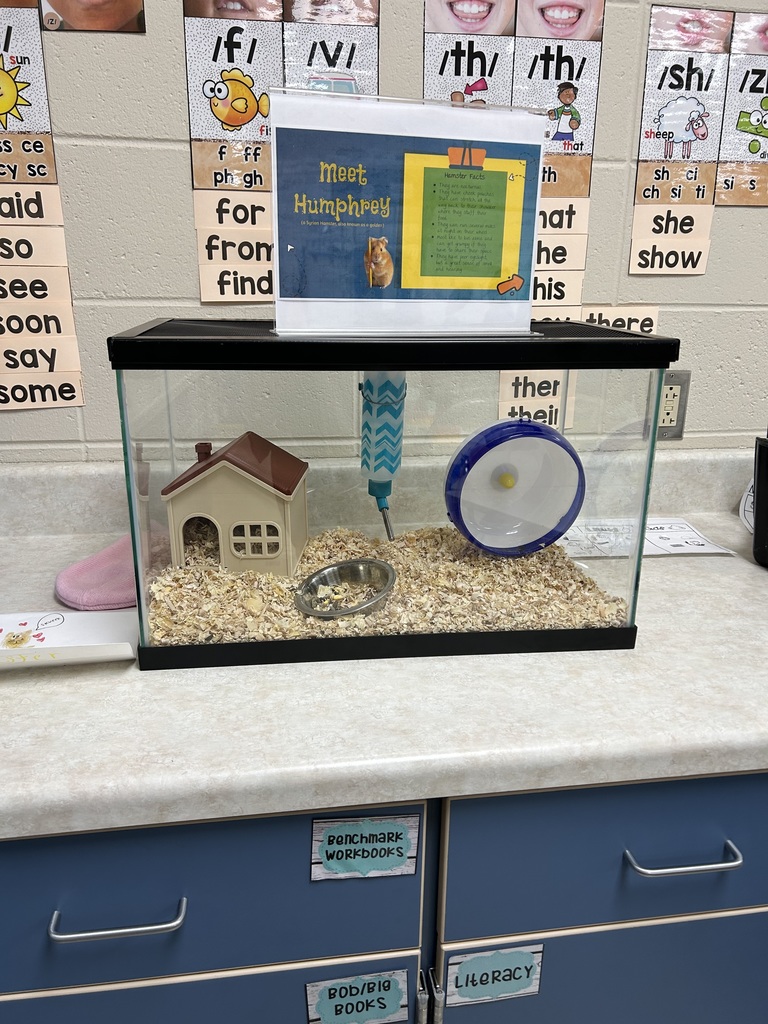 Humphrey in the kindergarten classroom
