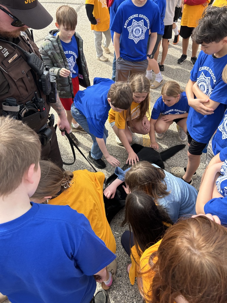 Students petting rip